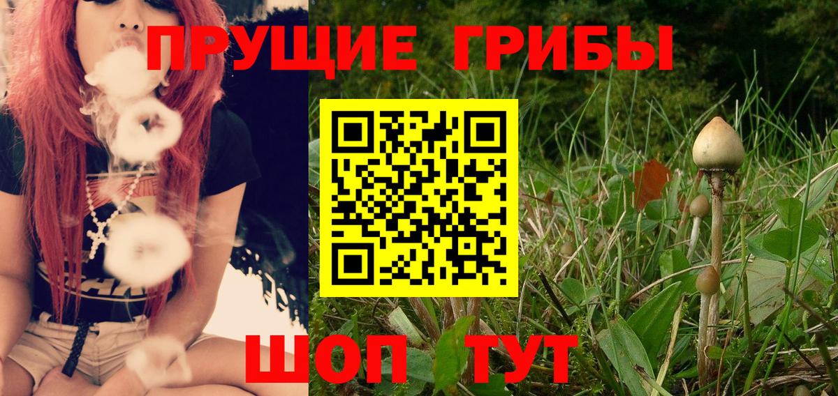Галлюциногенные грибы мицелий Алушта