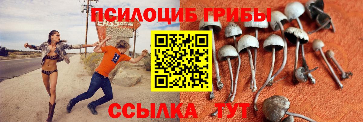 Галлюциногенные грибы мицелий  Вход с VPN  Алушта 